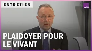 À l’aube de la sixième extinction, plaidoyer pour le vivant