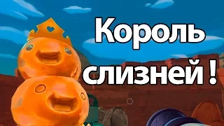 Король слизней ! Максимально прокаченная ферма ! ( Slime rancher )