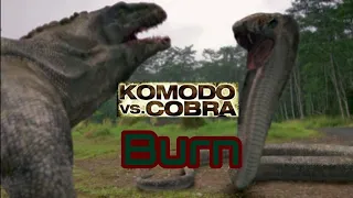 Syfy Channel Monsters: Komodo vs Cobra