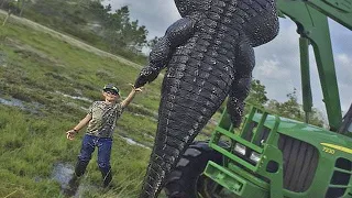 Найден Самый Огромный Крокодил в Мире / Аномально Большие Животные