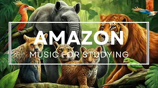 Amazon Wildlife | Concentration Music for Work and Studying, Background Music for Focus, Study Music