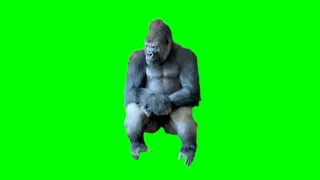 Lonely Gorilla Meme Template Green Screen