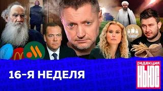 Редакция. News: 16-я неделя