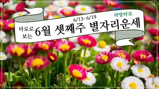 [타로/별자리운세] 타로로 보는 주간 별자리 운세 6월 3째주(6/13-6/19)