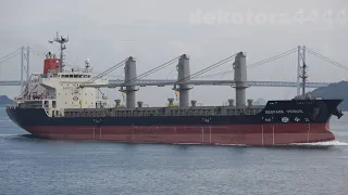 Bulk Carrier｢GEOPARK VENUS｣