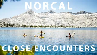 Close Encounters in NorCal | Pacific Crest Trail | Episode 5