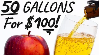 How to Make Hard Cider - Easy Beginner Recipe