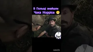 Чак Норрис из Польши 🥋🤣 #прикол #мем #гумор #жарти #курваприкол