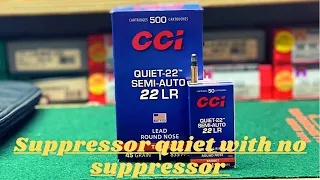 How Quiet is CCI Quiet-22 ammo???