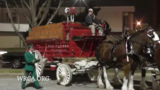 Budweiser Clydesdales: Getting Ready For The Show