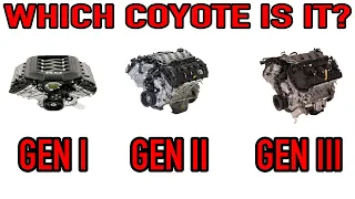 Curing coyote confusion! How to identify different coyote generations.