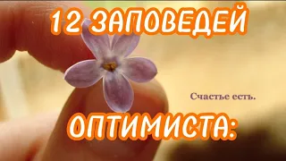 12 ЗАПОВЕДЕЙ ОПТИМИСТА: