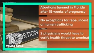 Florida House passes controversial 15-week abortion ban