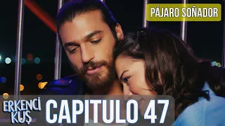 Pájaro soñador - Capitulo 47 (Audio Español) | Erkenci Kuş