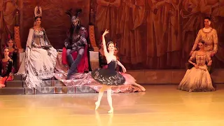 New Prima Ballerina of Mariinsky Ballet Renata Shakirova-Odile variation&fouettes Swan Lake act 3