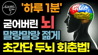 1만 명의 MRI에서 확인한 뇌과학자의 초간단 두뇌 회춘 비법! / 하루 1분만 하세요! 기억력 집중력 눈에 띄게 좋아집니다! / 치매 예방 명상법 / 책읽어주는여자 건강 오디오북