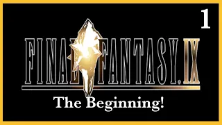 Final Fantasy 9 Beginner's Guide Tips And Tricks!- Part 1-PS4