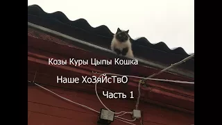 Каширское Подворье / Кошка, Куры, Козы, Цыпы / Часть 1 /