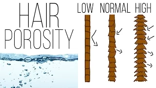 All About Hair Porosity