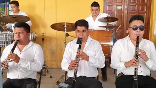 Norma La De Guadalajara / La Musita - La Picosa Hernández Banda