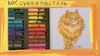 🎄8 декабря ❄️ Рыжий котик сухой пастелью🐱 Soft Pastels mungyo