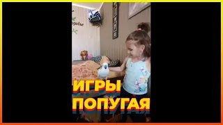 какаду играет с ребенком  удивительные игры попугая Какаду Альба