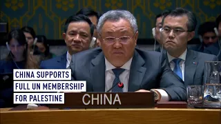 China very disappointed at U.S. veto of Palestine's UN membership bid