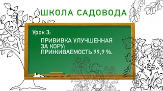 Прививка улучшенная за кору. Школа садовода. Урок 3