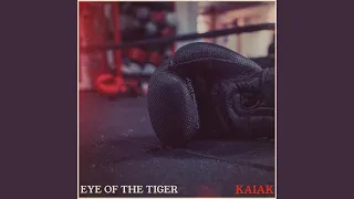 Eye Of The Tiger (Acoustic) (Acoustic)