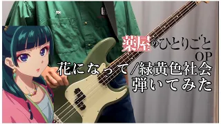 【薬屋のひとりごと OP】花になって/緑黄色社会 Bass Cover