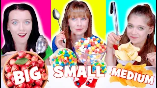 ASMR Big Spoon VS Medium Spoon VS Small Spoon Food Challenge | Mukbang By LiLiBu