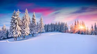 Beautiful Relaxing Music - Stop Overthinking, Peaceful Soothing Instrumental Music "Winter Nature"