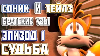 Соник и Тейлз: Братские Узы // Эпизод 1: Судьба -||- The Tails That Bond (RUS DUB)