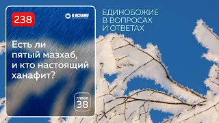 Вопрос 238. Есть ли пятый мазхаб, и кто настоящий ханафит? Единобожие в вопросах и ответах