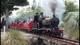 Miniature steam train QE Park, Masterton, NZ, 23 Jan 2022