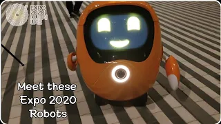 INTERACTING with EXPO 2020 DUBAI ROBOTS || Expo Series PART 3 || Naaz