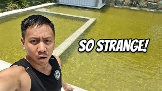 Our New Pool Turned Green | Vlog #1624
