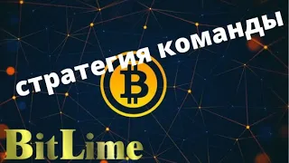 Lime Company Презентация   Лайм, Битлайм, Lime, Bitlime