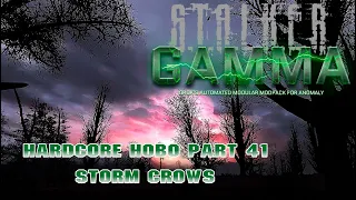 Stalker: GAMMA Hardcore Hobo Pt 41