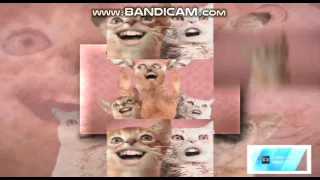 (YTPMV) Singing Cats scan