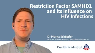 Restriction factor SAMHD1 and its influence on HIV infections