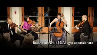 Beethoven Op. 132, Allegro appassionato