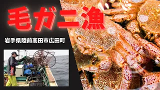 三陸広田沖毛蟹漁