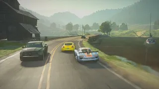 Need for Speed The Run (PC) - Stage 9, State Forest