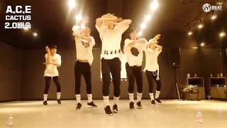 A.C.E(에이스) - 선인장(CACTUS) MV 2x & 1.5x Dance ver.