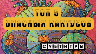 Топ 5 опасных кактусов [субтитры]