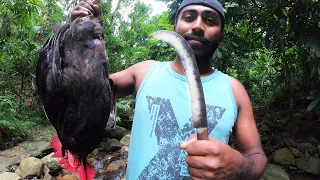 Survival Skills    wild chicken hunting and cooking in forest primitive technology