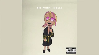 lil pump-molly in reverse (he said...) MUST WATCH!