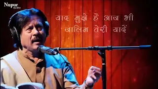Attaullah khan Tha best of Bewafai Sad song(part 3) @Anilarya650 #pakistan wale #attaullahkhan ji