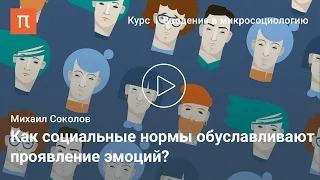 Социология эмоций — Михаил Соколов